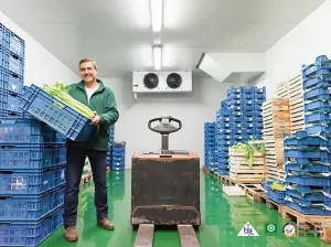 Cold Storage di Sektor Logistik: Mengoptimalkan Rantai Pasok Dingin